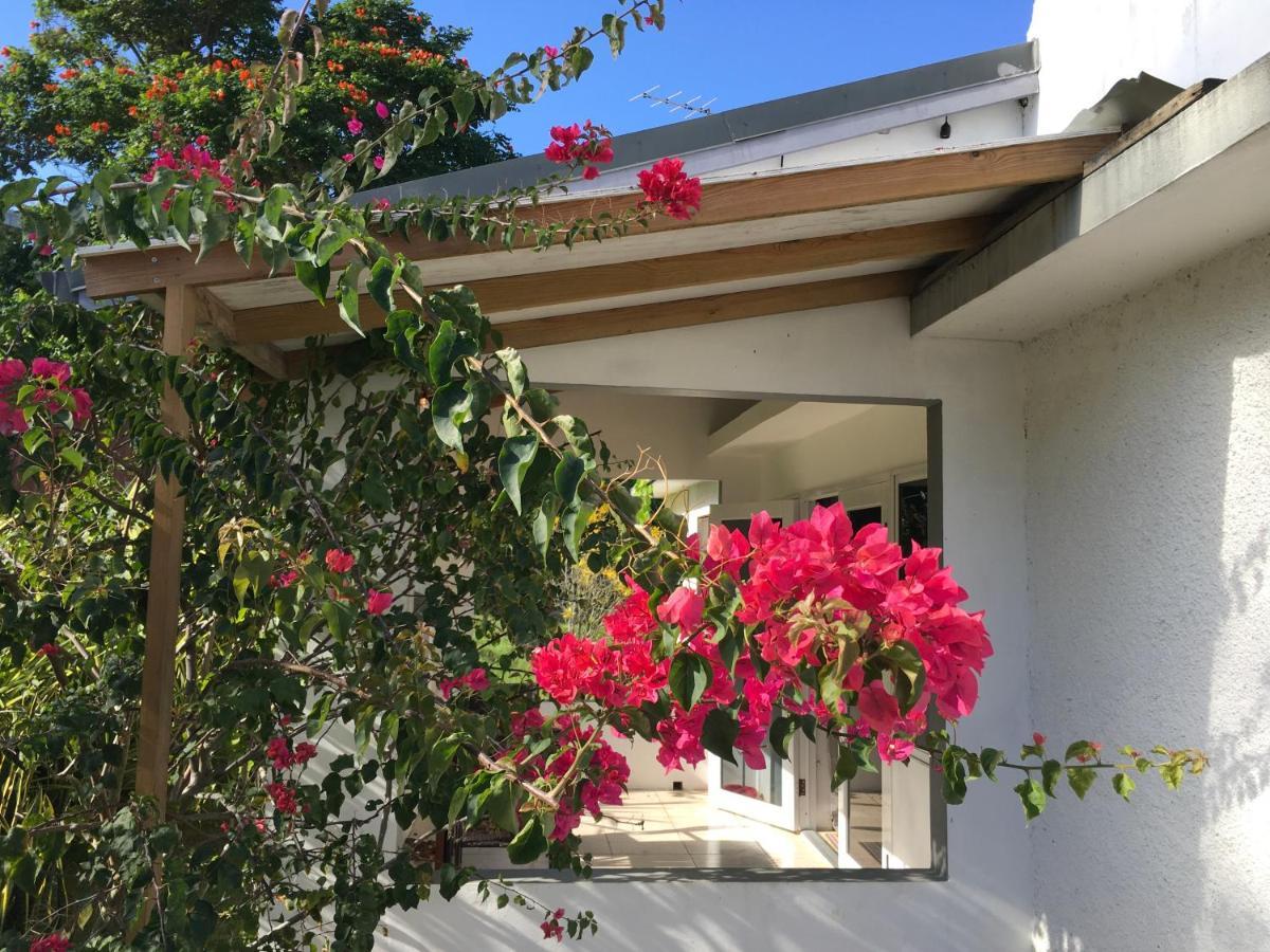 Ancella'S Garden Apartment-Beach-5Min Drive, 1 Hr Montego Bay, 25 Mins Ocho Rios, Continental Breakfast Runaway Bay Exterior photo
